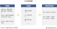 2022 年中國碳捕集、利用與封存（CCUS）洞察報告