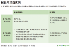 企業(yè)領導者為什么必須了解碳信用額？